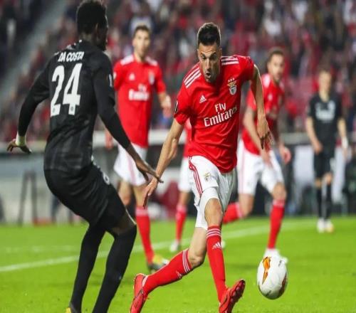 巴甲弗鲁米嫩塞主场采用狗狗球童，鼓励球迷去领养宠物（巴甲弗鲁米嫩塞主场启用萌犬球童，号召球迷领养宠物）